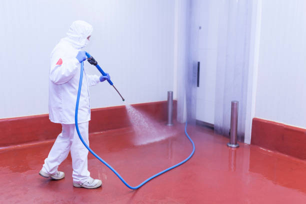 Best Roof Washing  in Timonium, MD
