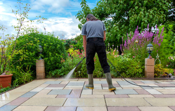  Timonium, MD Pressure Washing Pros